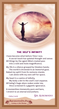 Selfs Infinity Border.jpg